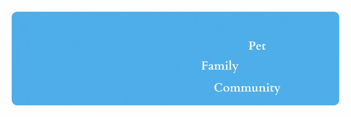 TLC Vision for a healthy pet