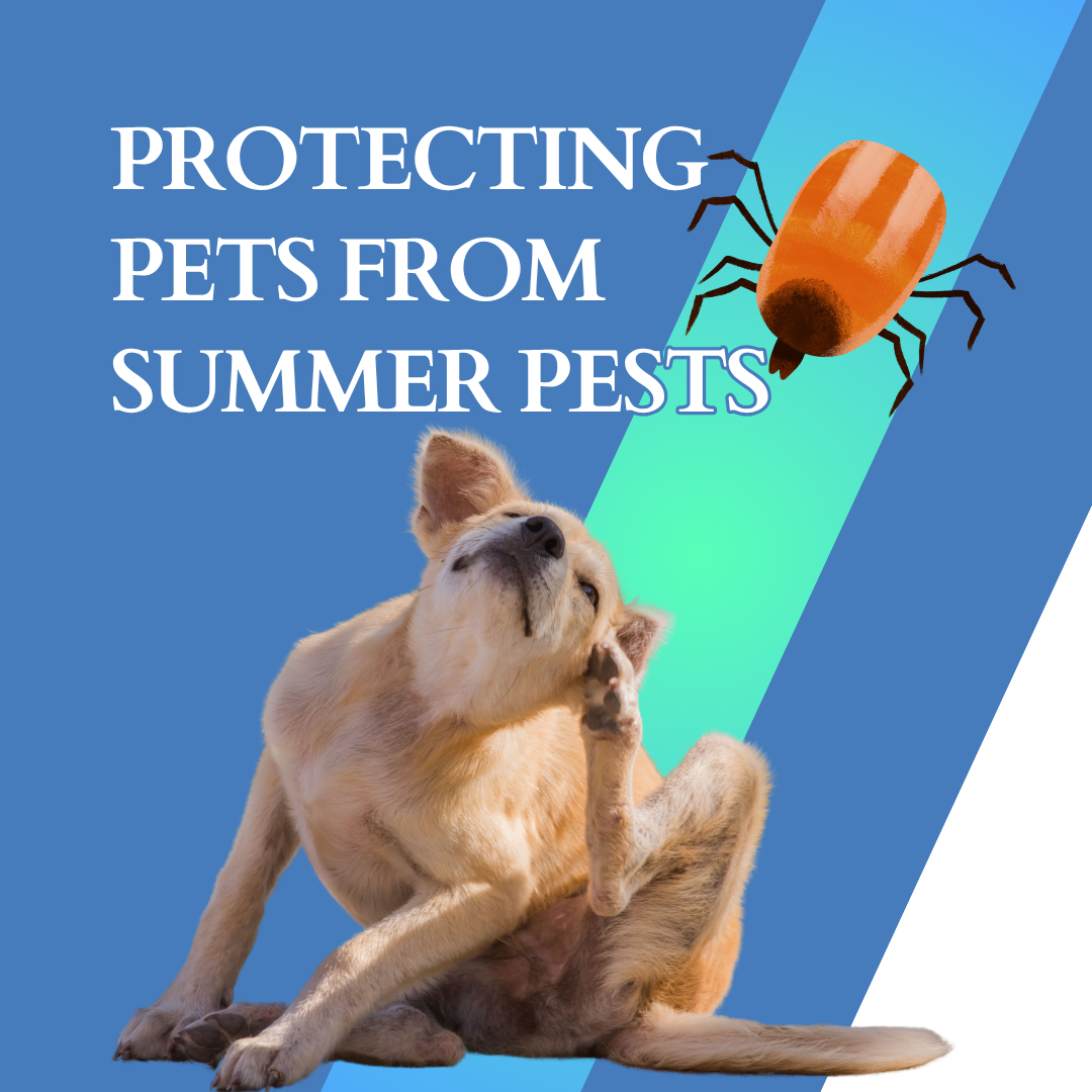 Protecting pets from summer pests